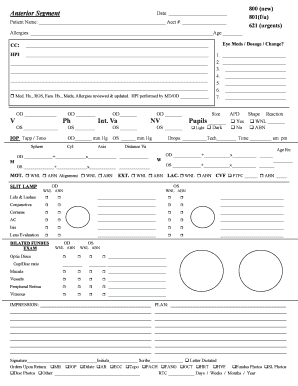 Form preview picture