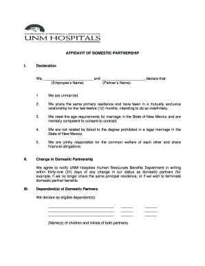 Affidavit of Domestic Partnership