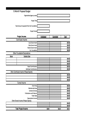 12-Month Proposal Budget Form