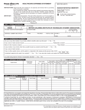 Healthcare Expense Statement