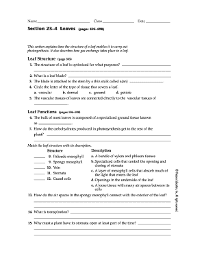 Leaf Structure and Function Worksheet