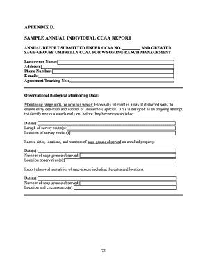 APPENDIX D SAMPLE ANNUAL INDIVIDUAL CCAA REPORT - wysga