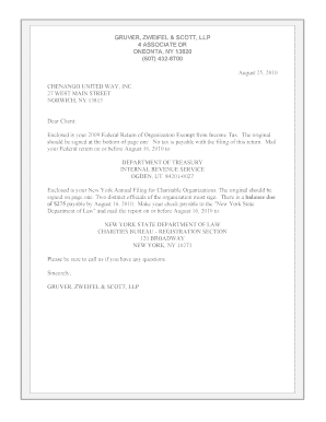2009 Form 990 Tax Return