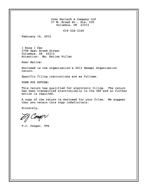 IRS Form 990 2013