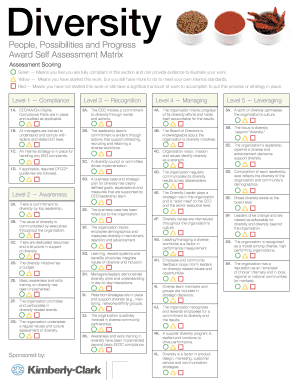 Diversity Award Self Assessment Matrix