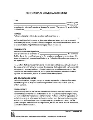 Professional Services Agreement