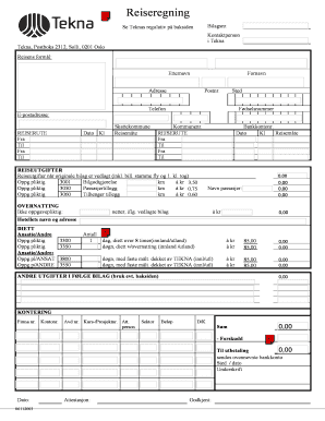 Travel Expense Report