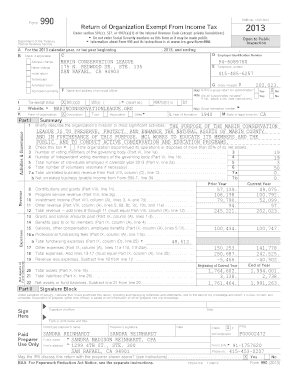 Form 990 2013 Tax Return