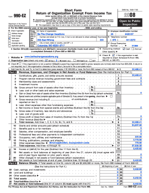 Form 990-EZ 2008