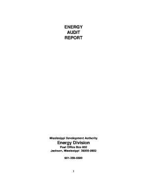 Mississippi Energy Audit Report Form