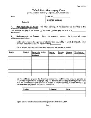 Chapter 13 Bankruptcy Plan