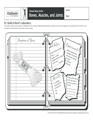 Bone Diagram Worksheet