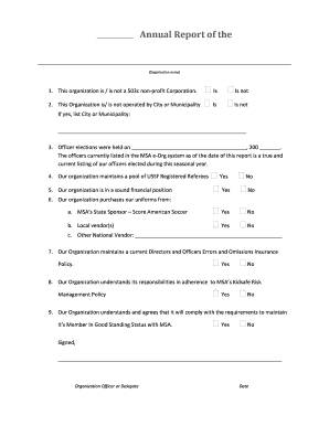 Annual Report for Soccer Organization