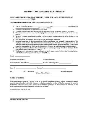 Affidavit of Domestic Partnership
