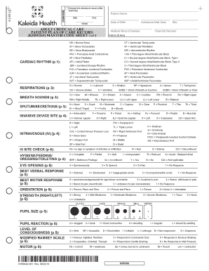 Adult Critical Care Patient Plan of Care Record