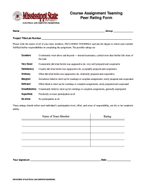 Peer Rating Form