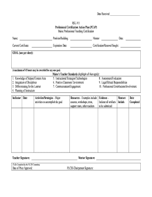 Professional Certification Action Plan