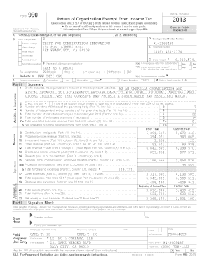 Form 990 2013