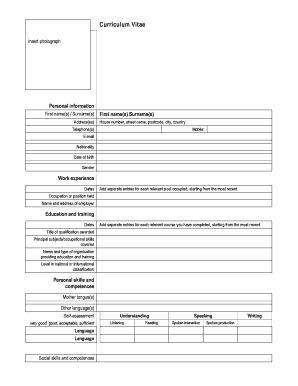 Curriculum Vitae Template