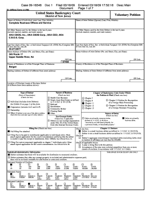 US Bankruptcy Court Voluntary Petition