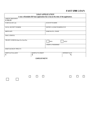 Fast $500 Loan Application