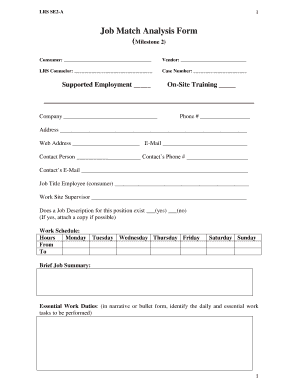 Job Match Analysis Form