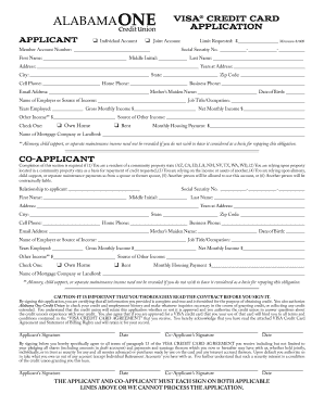 VISA Credit Card Application