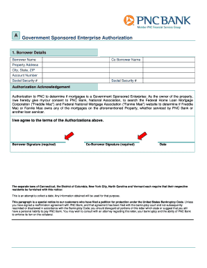 Government Sponsored Enterprise Authorization Form