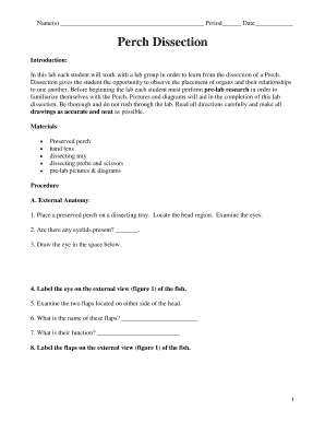 Perch Dissection Lab Form