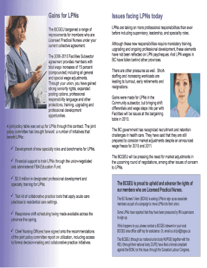 Professional Responsibility Form for LPNs