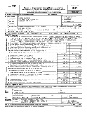 Form 990 2013