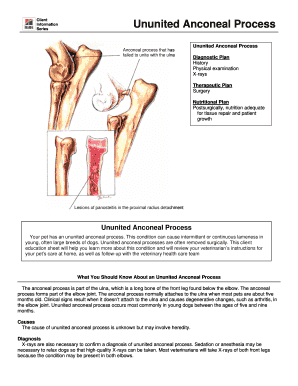Ununited Anconeal Process Client Information