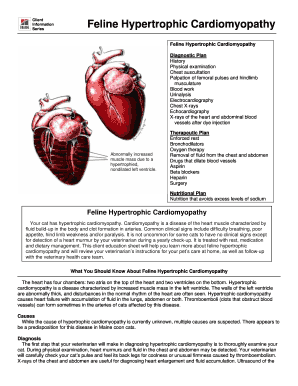 Feline Hypertrophic Cardiomyopathy Client Information