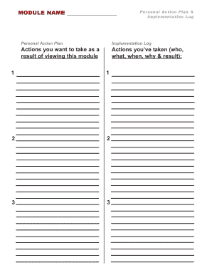 Personal Action Plan Implementation Log
