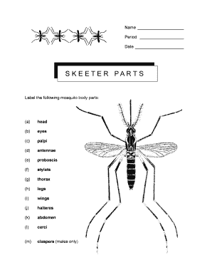 Mosquito Anatomy Labeling Worksheet
