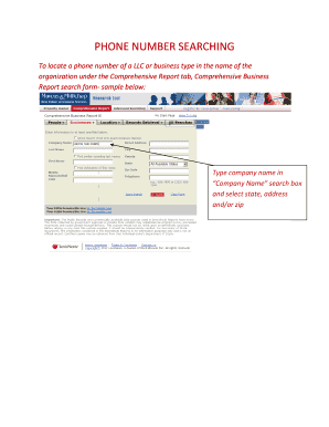 Comprehensive Business Report Search Form