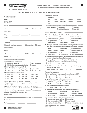LED Holiday Lights Rebate Form