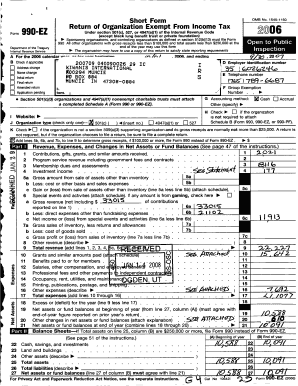 Form preview picture