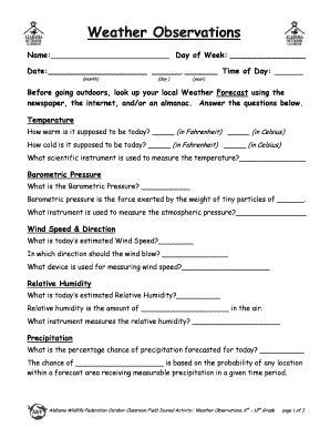 Weather Observations Form