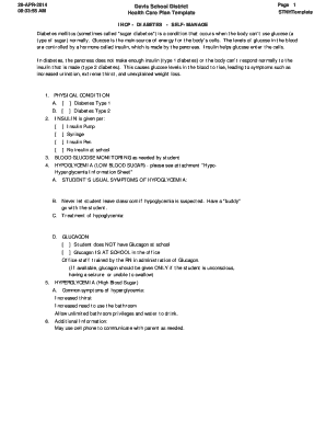 Health Care Plan Template for Diabetes Self-Management