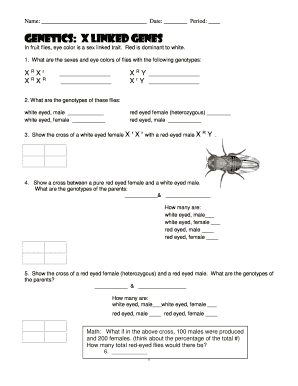 Genetics Worksheet