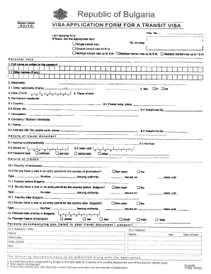 Visa Application Form for a Transit Visa
