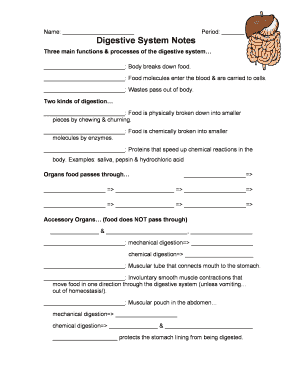 Digestive System Notes Worksheet