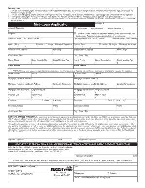 Mini Loan Application Form