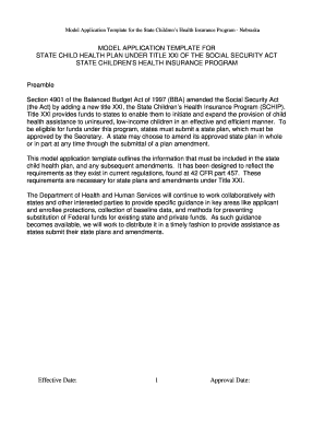 Nebraska State Children's Health Insurance Program Application