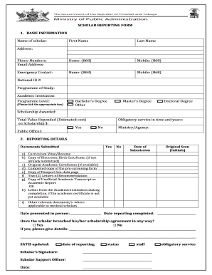 Scholar Reporting Form