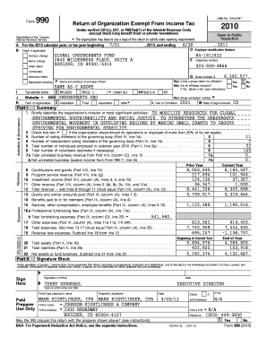 Form 990 2010