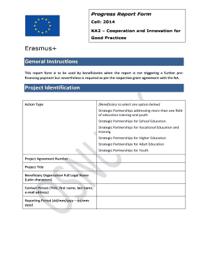 Interim report form - 2014 KA2 PROGRESS Report Form - erasmusplus