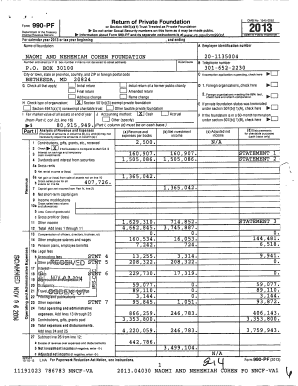 Form 990-PF 2013