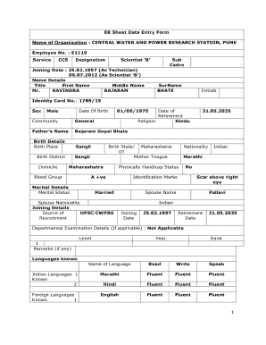 ER Sheet Data Entry Form
